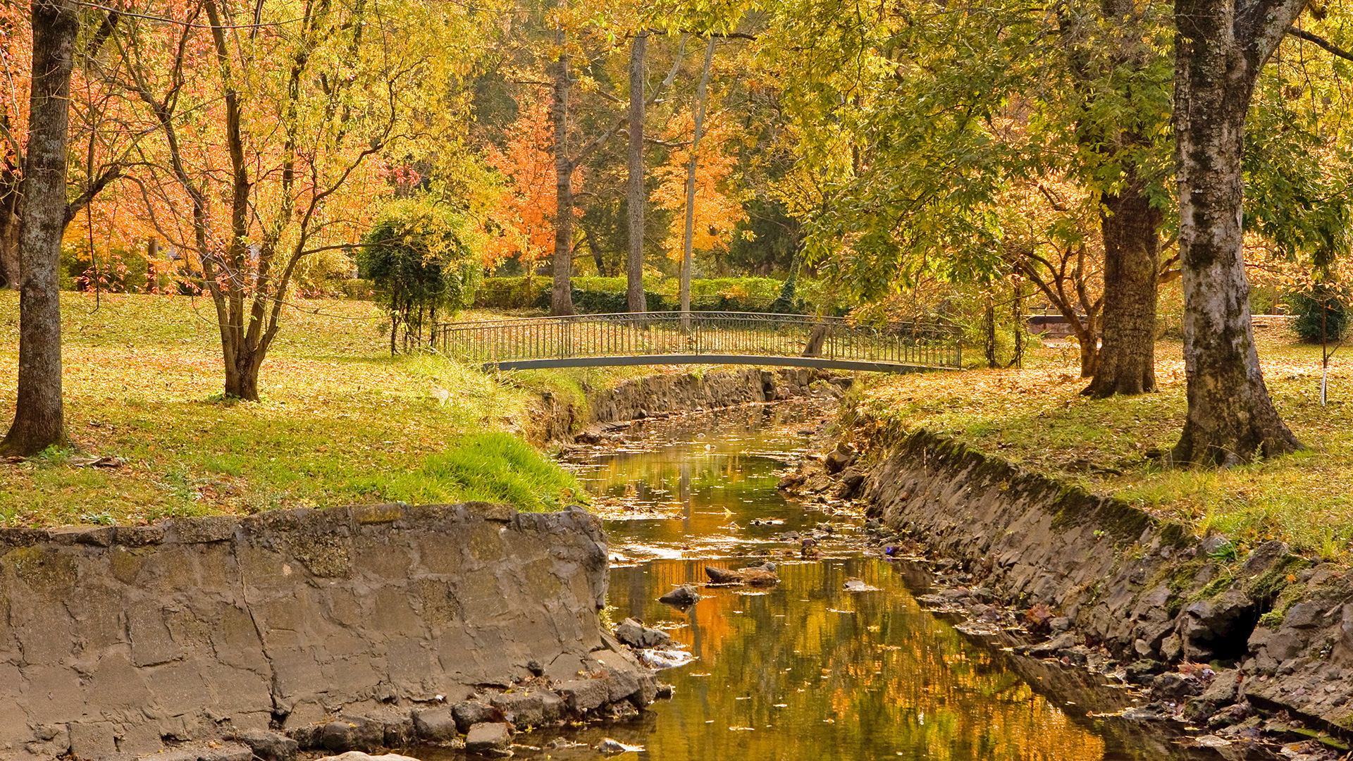 Neighborhood Bridge