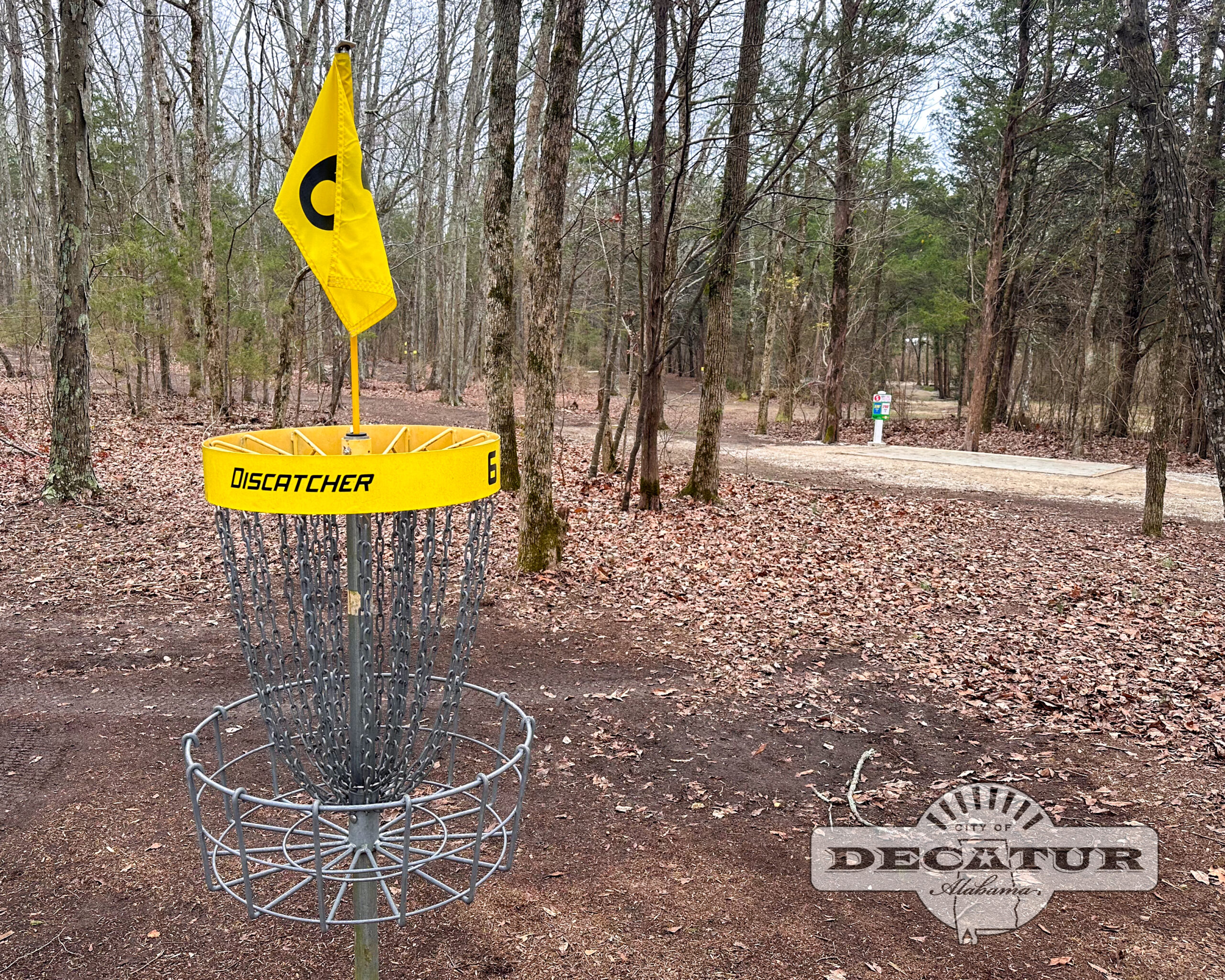 A disc golf basket at the Flying Dragon Disc Golf course is now adorned with yellow trim and a yellow hole number flag.